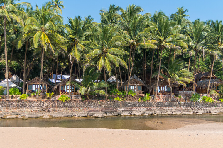 India 2014 - Goa 070.jpg